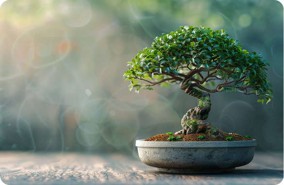 A beautifully shaped bonsai tree in a stone pot against a soft green bokeh background
