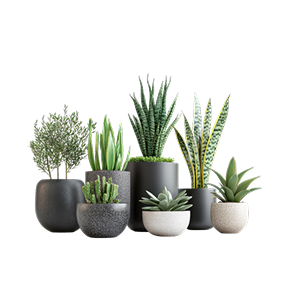 Planters & Pots
